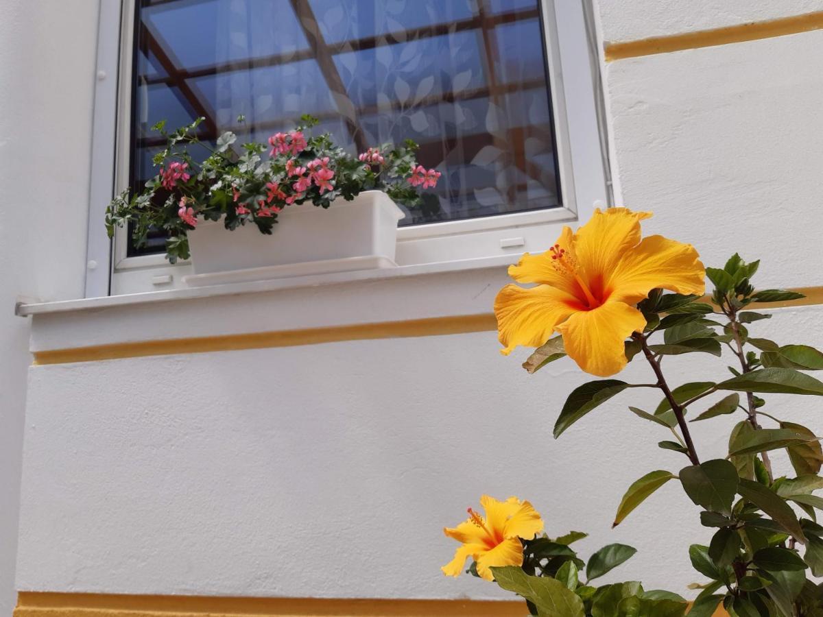 Thermal Garden Mosonmagyaróvár Esterno foto